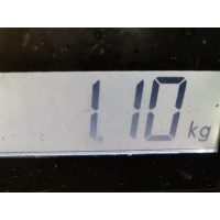 Форсунка бензиновая электрическая Volkswagen Beetle 2 (1998-2010) 1999 0280155791,06A906031C