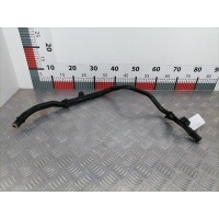 Патрубок системы охлаждения Opel Corsa D (2006-2014) 2011 565563897,39063438