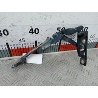 Петля капота правая BMW 5-Series (E39) (1995-2004) 2001 ,41618203276