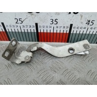 Петля капота левая Citroen Jumper_(Relay) 3 (2006-2017) 2008 ,791241