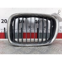 Решетка радиатора BMW 5-Series (E39) (1995-2004) 1999 8159311,51138159315
