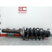 Стойка амортизатора переднего правого (МакФерсон) Volkswagen Golf 4 (1997-2004) 2002 1J0413031AE,1J0413031BH