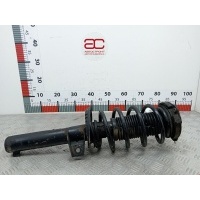 Стойка амортизатора переднего правого Volkswagen Passat 6 (2005-2010) 2005 3C0413031AC,1K0413031EC