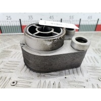 Теплообменник Renault Kangoo 1 (1997-2007) 2007 ,8200923115