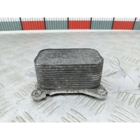 Теплообменник Mitsubishi Colt 6 (2002-2012) 2004 ,MN960144