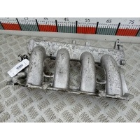 Коллектор впускной Renault Scenic 2 (2003-2009) 2005 8200257339,140038873R