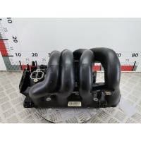 Коллектор впускной Ford Focus 1 (1998-2005) 2001 1S4G9424E1C,1113071