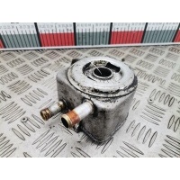 Теплообменник Peugeot Expert 1 (1995-2007) 2004 9650863380,1103N1