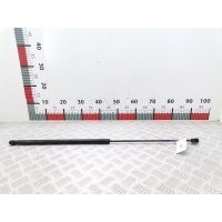 Амортизатор капота Volkswagen Passat 6 (2005-2010) 2009 3C0823359A,3C0823359A