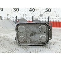 Теплообменник Ford Galaxy 2 (2006-2015) 2007 6790859280,1700806