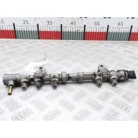 Рампа топливная (топливная рейка) Opel Corsa D (2006-2014) 2011 ,55573467