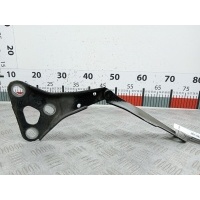 Петля капота левая Opel Zafira A (1999-2006) 2002 90579421,13172637