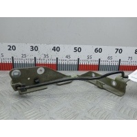 Петля капота правая Citroen C3 1 (2001-2010) 2002 ,791268