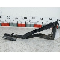 Петля капота левая Citroen C8 (2002-2014) 2005 ,791266