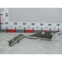 Петля капота левая Citroen C3 1 (2001-2010) 2002 ,791269