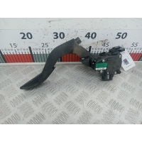 Педаль газа Audi A4 B6 (2000-2006) 2002 6PV00837501,8E1721523A