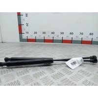 Амортизатор капота Renault Kangoo 2 (W/FW) (2007-2018) 2014 654706489R,654706489R