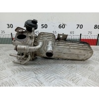 Радиатор системы ЕГР Volkswagen Passat 6 (2005-2010) 2006 038131513AD,038131512H