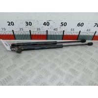 Амортизатор капота Hyundai Santa_Fe 1 (SM) (2000-2006) 2004 2523SM,8116126021