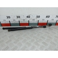 Амортизатор капота Hyundai Santa_Fe 2 (CM) (2005-2012) 2008 811602B010,811602B010