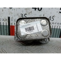 Теплообменник Peugeot 407 (2004-2010) 2004 6790859280,1700806
