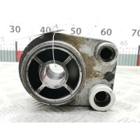 Теплообменник Renault Clio 3 (2005-2012) 2007 8200267937,8200923115
