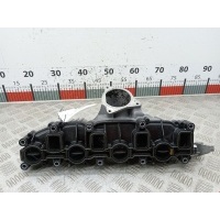 Коллектор впускной Volkswagen Tiguan 1 (2007-2016) 2008 1024113S,03L129711E