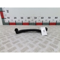 Патрубок вентиляции картерных газов Seat Ibiza 3 (2002-2008) 2005 036103156,036103156F