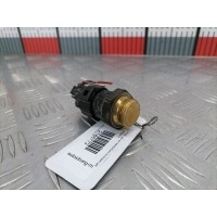 Датчик температуры охлаждающей жидкости Seat Alhambra (1996-2010) 2003 1H0959481B,1H09594818