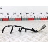 Проводка (жгут проводов) Citroen Berlingo 1 (1996-2012) 2007 9653811880,1682277