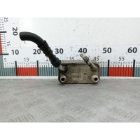 Теплообменник Land Rover Range_Rover 3 (2001-2012) 2006 PFZ500020,PFZ500020