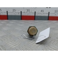 Датчик температуры охлаждающей жидкости Audi A3 8L (1996-2003) 1999 1H09594818,1H09594818