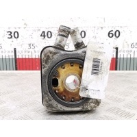 Теплообменник Seat Alhambra (1996-2010) 2004 028117021B,028117021L