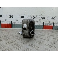 Теплообменник Skoda Fabia 1 (1999-2007) 2003 028117021K,028117021L