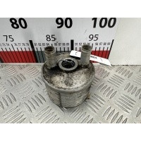 Теплообменник Seat Alhambra (1996-2010) 2004 ,028117021L