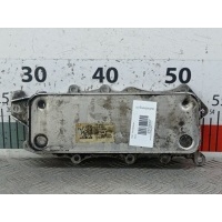 Теплообменник Mercedes E-Class (W211) (2002-2009) 2007 6421800165,A6421800165