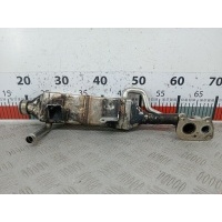 Радиатор системы ЕГР Mercedes E-Class (W211) (2002-2009) 2007 16421400175,A16421400175