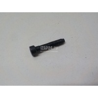 Болт форсунки Hyundai-Kia Carnival (2005 - 2014) 338004X530