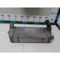 Интеркулер Hyundai-Kia Carnival (2005 - 2014) 281904X900