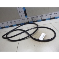 Уплотнитель двери VAG Tiguan (2007 - 2011) 5N0837701A5AP
