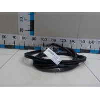 Уплотнитель двери VAG Tiguan (2007 - 2011) 5N08679119B9