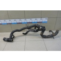Патрубок радиатора Land Rover Range Rover Sport (2005 - 2012) LR025969
