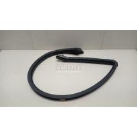Уплотнитель (внутри) VAG A5/S5 [8T] Coupe/Sportback (2007 - 2016) 8T0845354E