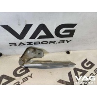 Петля капота Audi A6 Allroad C6 2007 4F0823302
