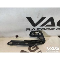 Петля капота Audi A6 C6 (S6,RS6) 2008 4F0823301