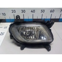 Фара противотуманная правая Hyundai-Kia Starex H1/Grand Starex 2007 922024H100