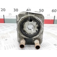 Теплообменник Seat Leon 1 (1M) (1999-2005) 2004 ,038117021E