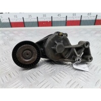 Натяжитель ремня генератора (приводного поликлинового ремня Seat Leon 1 (1M) (1999-2005) 2004 038903315F,038903315AE