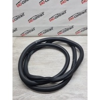 Уплотнитель двери Volkswagen Tiguan 2012 5N0867913