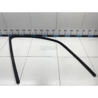 Уплотнитель стекла двери Renault Sandero (2009 - 2014) 8200950247